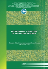 Профессиональное становление будущего учителя в системе непрерывного образования:  теория, практика и перспективы